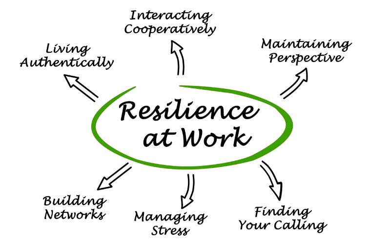 resilience framework