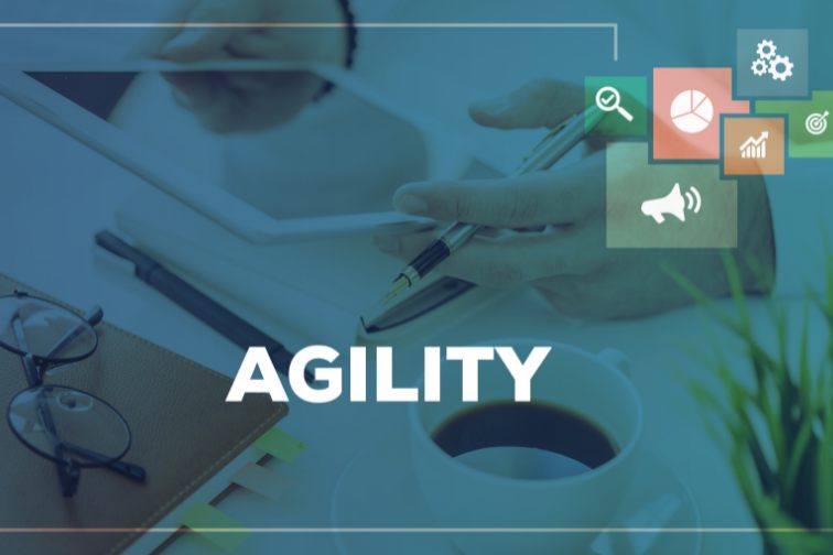 agility meaning
